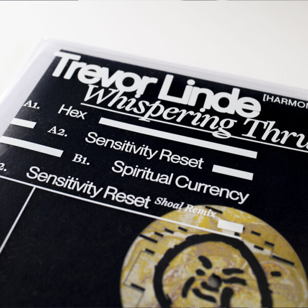 Trevor Linde - Whispering Thru The Mask - Image 5