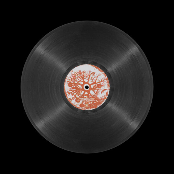 Anastasia Kristensen - Cordyceps Disco - Image 5