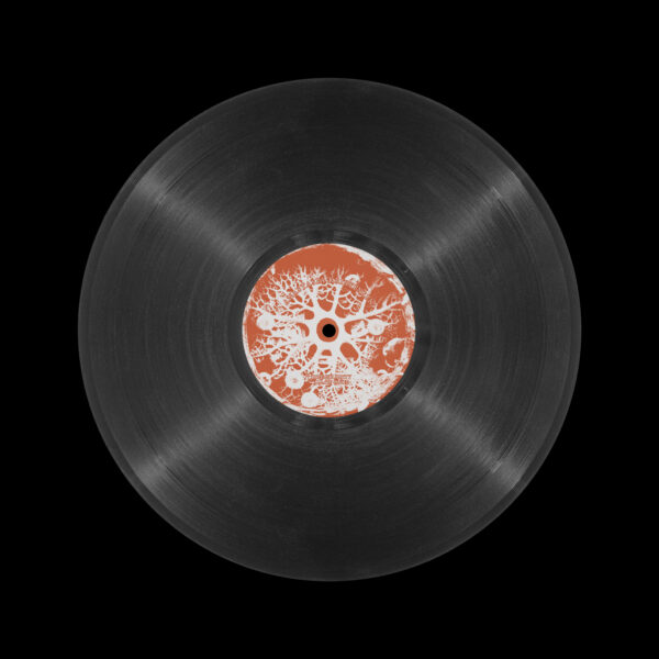 Anastasia Kristensen - Cordyceps Disco - Image 7