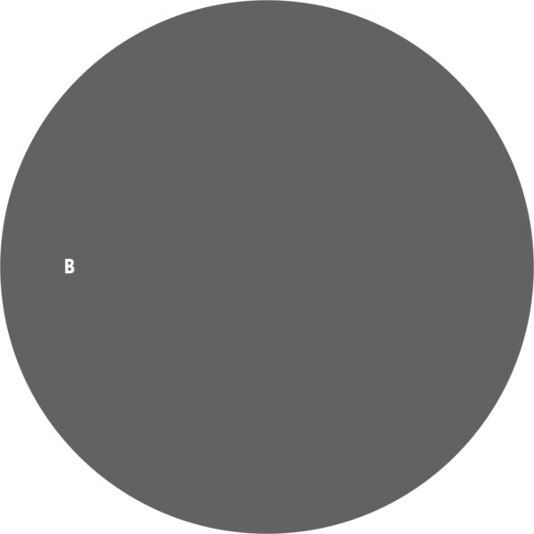 Visitor - Confidential III - Image 2