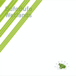 BufoBufo - Wetlands