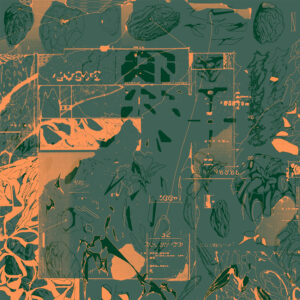 Darren Nye - Voyage Of Light 2LP
