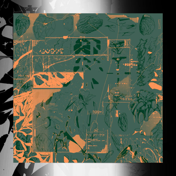 Darren Nye - Voyage Of Light 2LP - Image 2