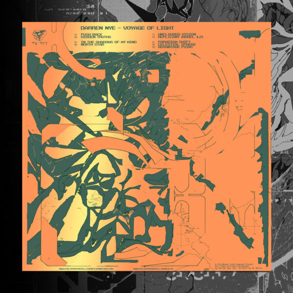 Darren Nye - Voyage Of Light 2LP - Image 3