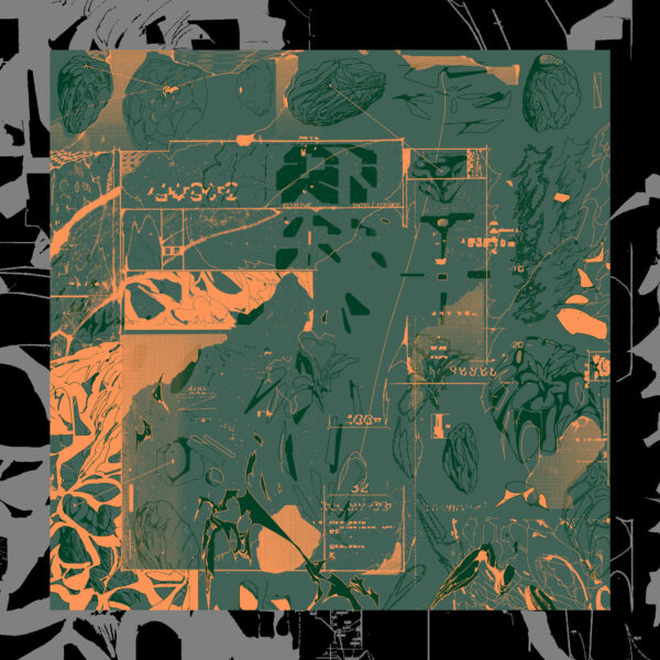 Darren Nye - Voyage Of Light 2LP - Image 4