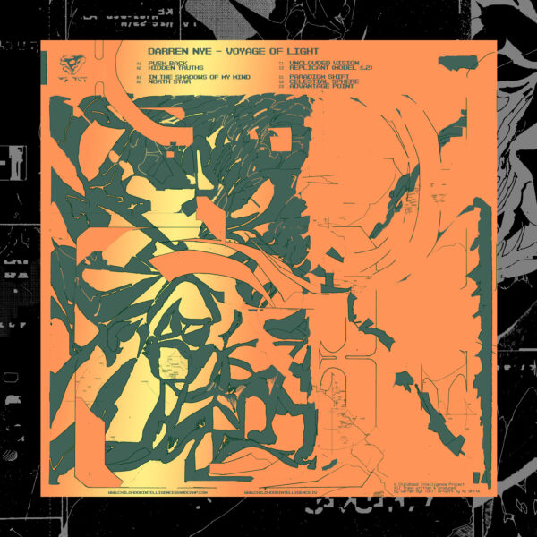 Darren Nye - Voyage Of Light 2LP - Image 5