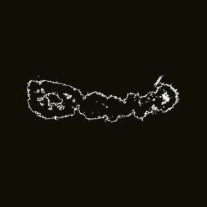 Overland - King Tide