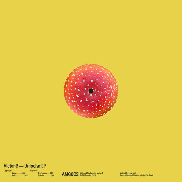 Victor.B - Unipolar EP - Image 3