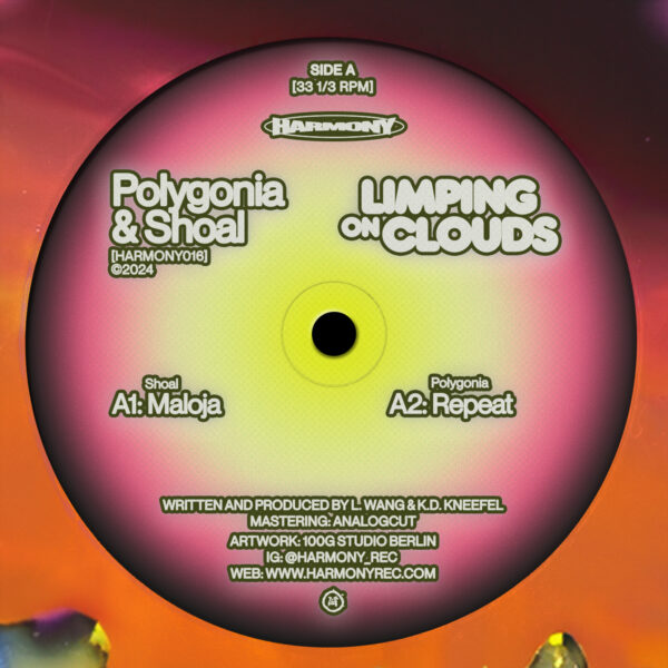 Polygonia & Shoal - Limping on Clouds - Image 3