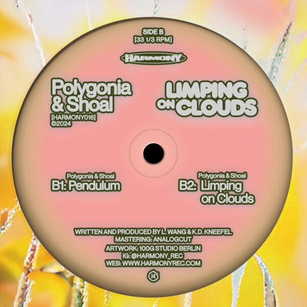 Polygonia & Shoal - Limping on Clouds - Image 4