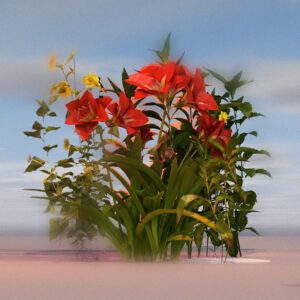 Various Artists - Scattered Answers