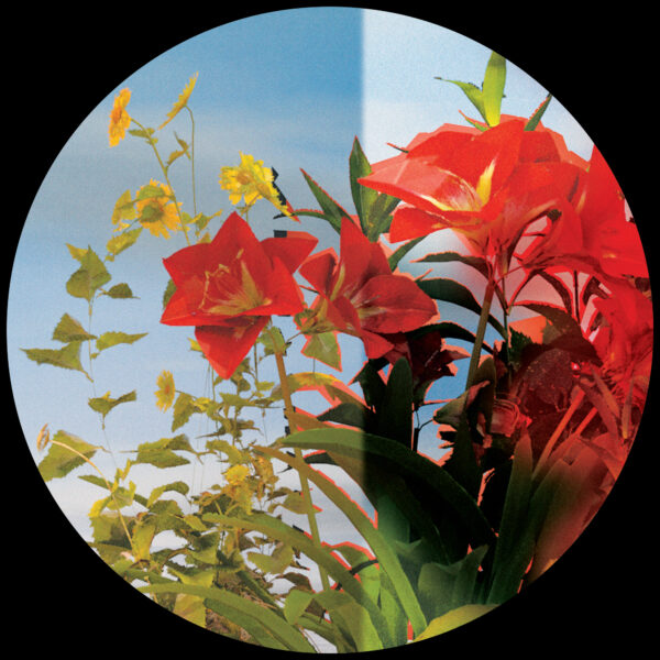 Various Artists - Scattered Answers - Image 3