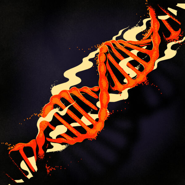 Various Artists - Genetic Memories Vol. 2