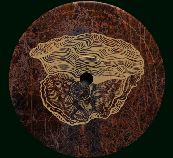 SW. - myDEFINITION part II - Image 2