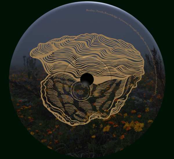 SW. - myDEFINITION part II - Image 4