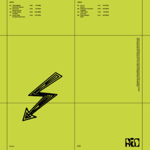 Various Artists - Risks Issues Opportunities III