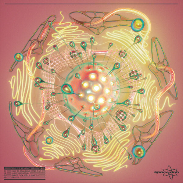 Pletnev - I Like Your Bitcoin EP - Image 2