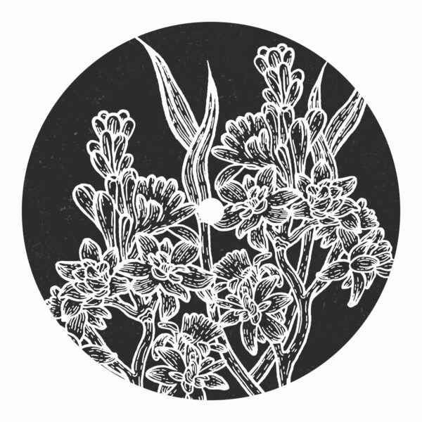 Alessandro Crimi - Moonward EP - Image 2