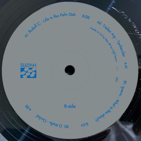 Various Artists - SUZIVA1 - Image 2