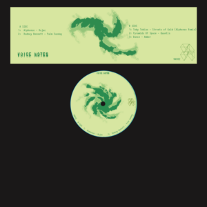 Various Artists - Voice Notes 002