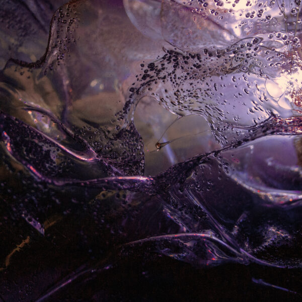Thrived - Bionic Gradient - Image 2