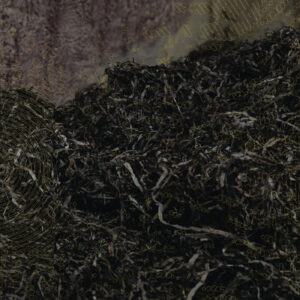 Various Artists - Transparent World (2xCD)