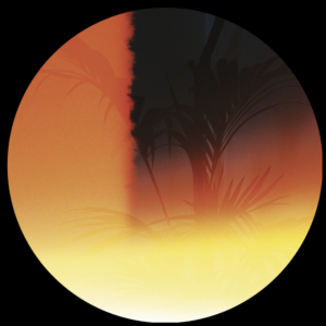 Various Artists - Because Soon the Days Will Be Gone