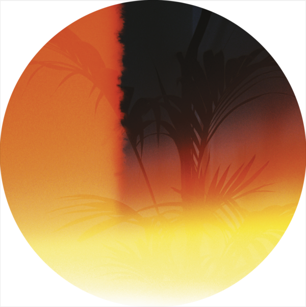 Various Artists - Because Soon the Days Will Be Gone - Image 2