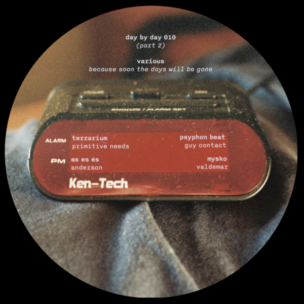 Various Artists - Because Soon the Days Will Be Gone - Image 3