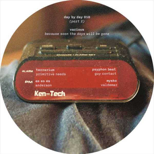 Various Artists - Because Soon the Days Will Be Gone - Image 4