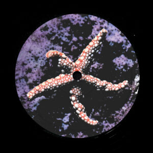 Eoin DJ - Total Body