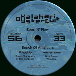 Ebbs N Flow - Bunch Of Amateurs