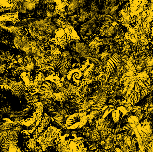 Secretsundaze - WAR1210 - Image 2