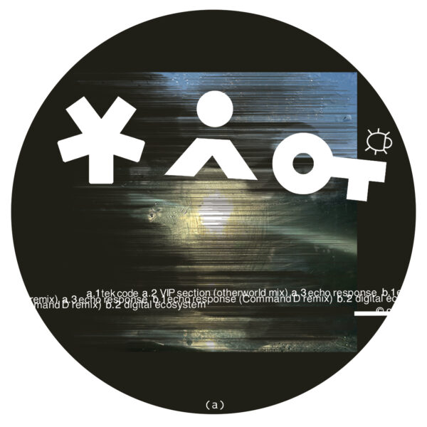 Beltrac - Tek Code - Image 3