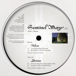 Alvar & Bönna - Sentinel Maze E.P.
