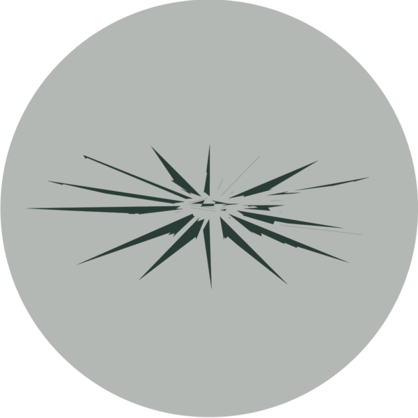 Aedis - Zevar - Image 2