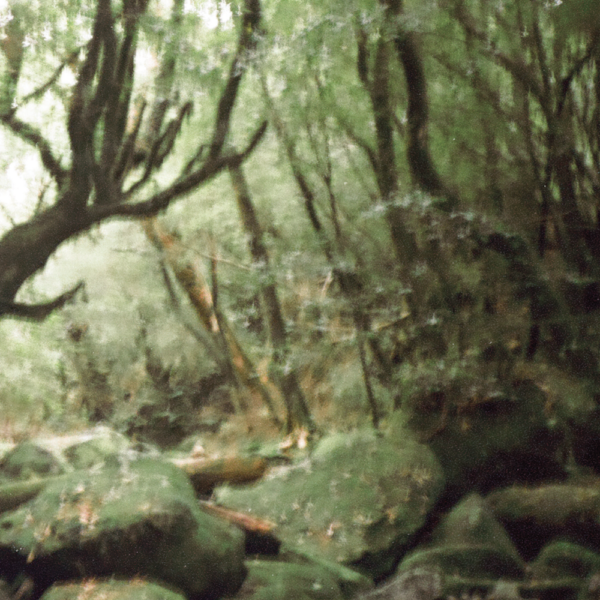 Matthias - The Edge Of Night - Image 3