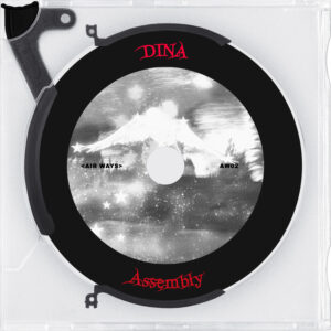 DINA - Assembly