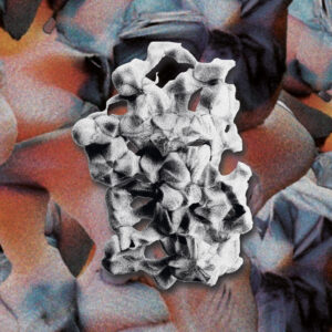 Ekkel - Drum Ring EP