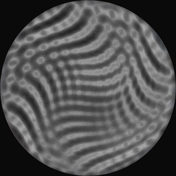 Tadan - Muses - Image 2