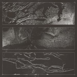 Various Artists - TERRA