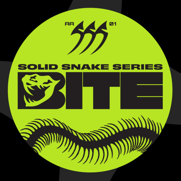 Various Artists - Solid Snake Series 01