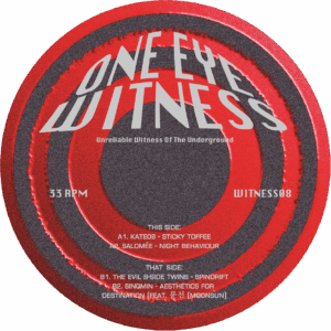 Various Artists - WITNESS08