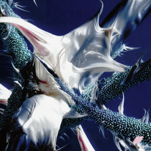 Iro Aka - Dimensions