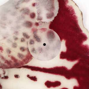 Fiona Zanetti - Red Light Therapy