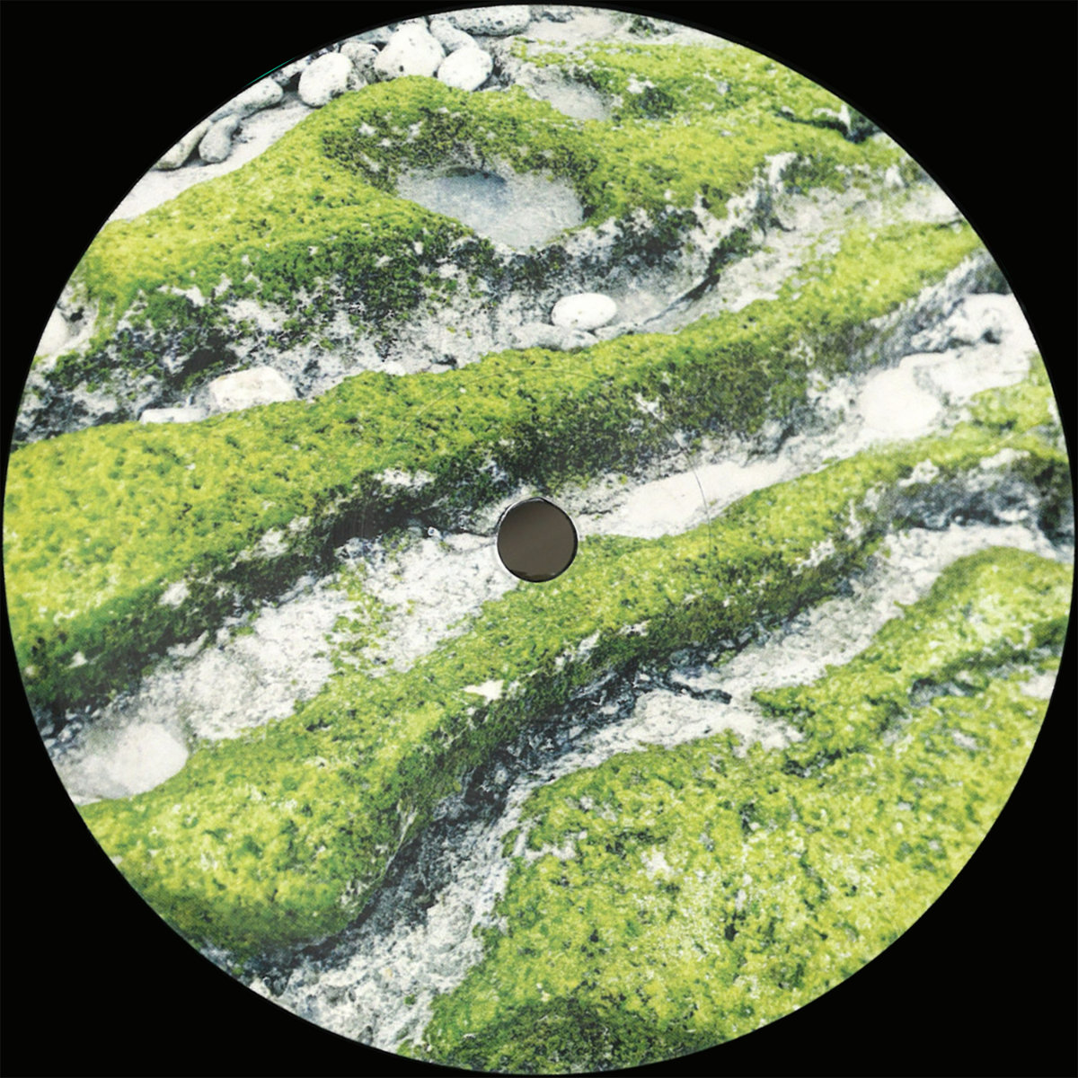 Extra - Kihon Ido EP