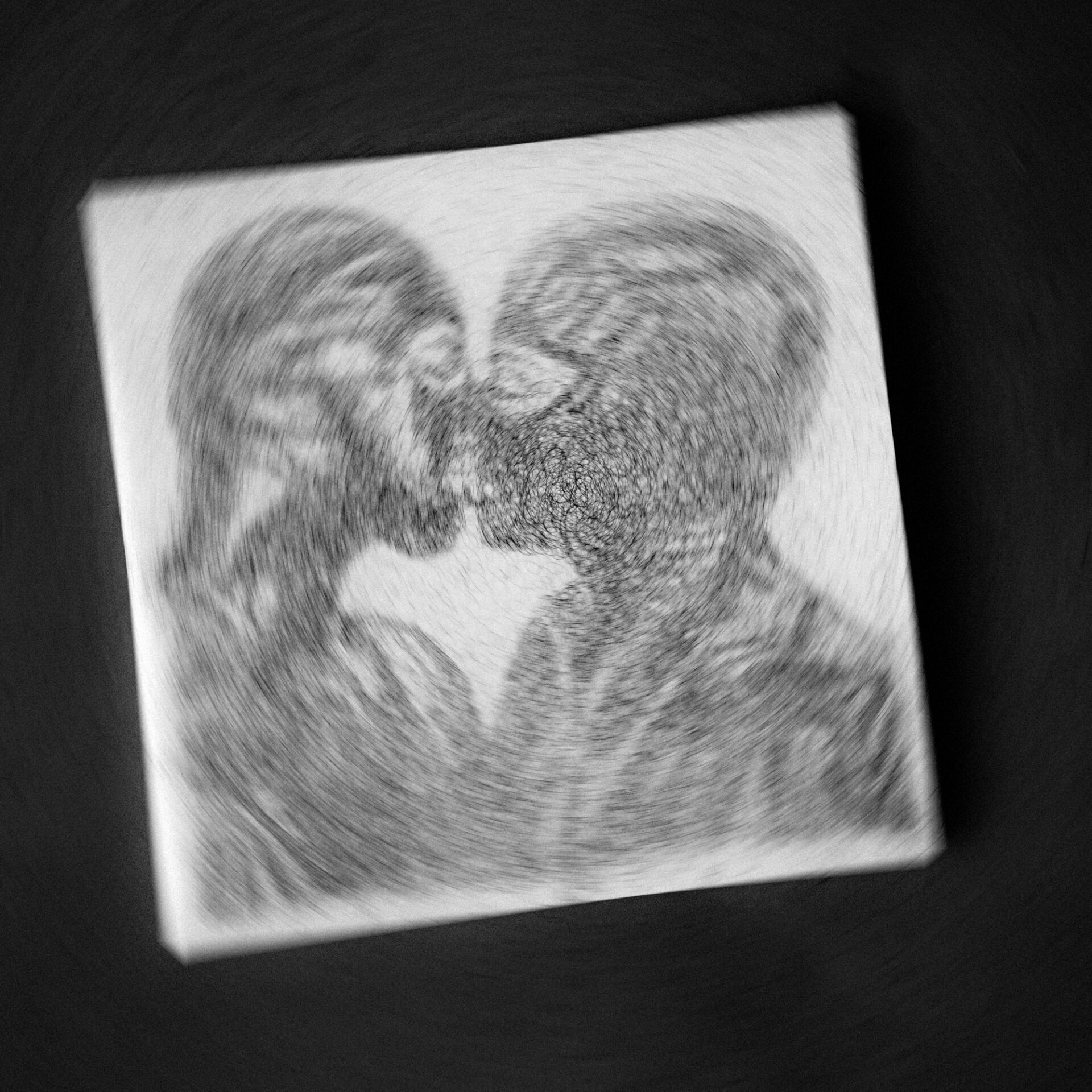 Various Artists - PRNVA03: PRNCPTL AFTERGLOW - ACT III: CHAPTER XIII - Image 12