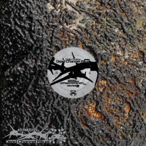 Delta Division - Dead Channels Ritual