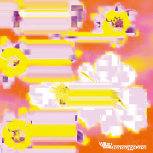 Willem, justjoe - Dreamscape Coma