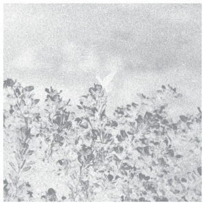 Marwan - Troebel Water